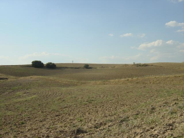 Tierras de labranza justo enfrente del banco