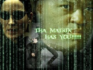 Matrix te posee