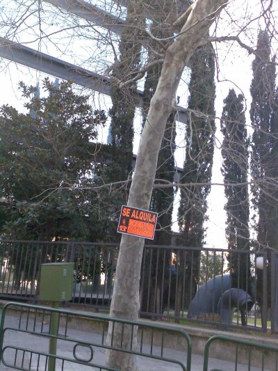 Hasta los árboles en alquiler...